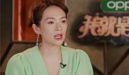 爆料娱乐圈耳环,娱乐圈明星耳环揭秘