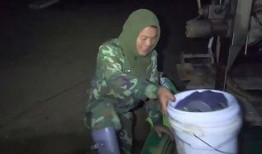 老四隐私爆料视频,视频爆料背后的惊人真相