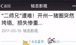 赣州自媒体爆料案件最新,惊天案件背后真相揭晓