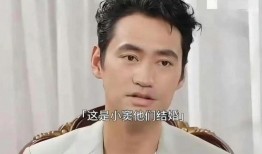 窦骁爆料最新视频播放,揭秘幕后故事与精彩瞬间