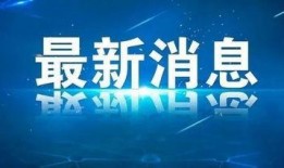 山东省新闻爆料,聚焦民生热点，揭示社会现象