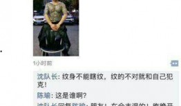 郑远元最新爆料,揭秘事件背后惊人真相