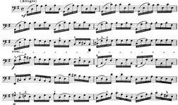 《无伴奏》在线观看,探寻音乐与心灵的共鸣之旅