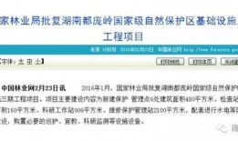 道县新闻爆料电话号码,倾听民声，传递道县最新动态