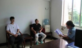 普尔爆料三巨头视频大全,三巨头视频大全背后的惊人真相