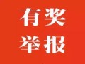 爆料新闻投稿有奖励吗