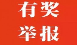 爆料新闻投稿有奖励吗