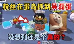 蛋仔怪兽爆料怎么做视频,视频制作攻略全解析
