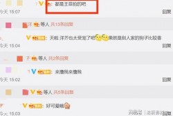 最新豪华版爆料视频大全,揭秘最新高端科技与设计亮点