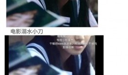 吃瓜系统小说 娱乐圈,吃瓜群众眼中的明星风云录