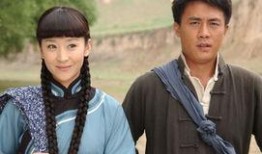 电视剧走西口全集在线观看