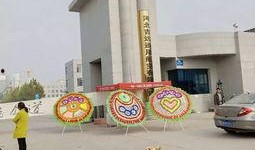 石家庄学院爆料视频最新,校园生活与教育现状深度剖析