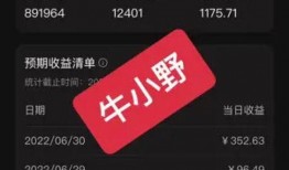 视频收入爆料,揭秘热门视频背后的盈利秘密