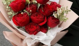 520玫瑰最新爆料,幕后故事与情感真相大曝光