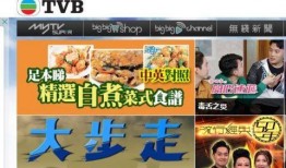 香港电视台直播在线观看,实时掌握精彩瞬间，畅享在线观看体验