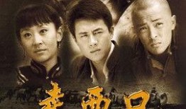 电视剧走西口全集在线观看