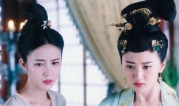 丫鬟最新爆料,揭开豪门背后的惊人真相