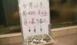 毒硬币今日爆料,今日爆料带你探秘虚拟货币世界