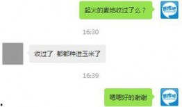 网友爆料视频文案,一幕幕令人震惊的幕后真相