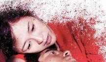 在线观看最爱,最爱剧集盘点