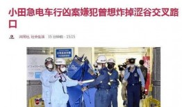 日本电车事件最新爆料,揭秘背后惊人真相