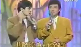 潘宏前妻爆料视频,揭秘婚姻背后的惊人真相