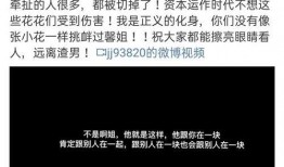 今日揭西爆料视频播放时间,揭秘今日热点事件，播放时间引发热议