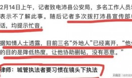 爆料撕春联男子视频大全,揭秘撕春联男子视频背后的真相