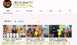 视频收入爆料,揭秘热门视频背后的盈利秘密