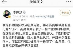 娱乐吃瓜张继科视频,揭秘娱乐圈幕后故事