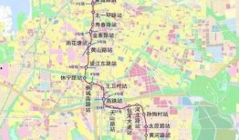 武汉宠物爆料事件最新进展,最新进展揭示真相与后续处理