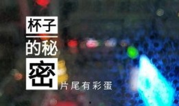 无锡饭店爆料视频最新,揭秘后厨卫生与食品安全问题