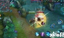 新版宫本的最新爆料