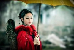 娱乐爆料郭晓婷是谁,娱乐爆料中的神秘面孔