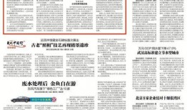 巡查员最新爆料新闻稿件,揭露XX行业惊人内幕
