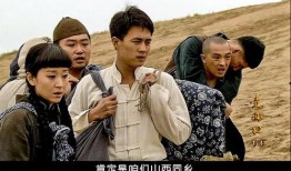 电视剧走西口全集在线观看