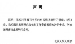 陈春花最新爆料信息图片,揭秘企业成功之道与行业变革趋势