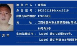 赣州自媒体爆料案件最新,惊天案件背后真相揭晓