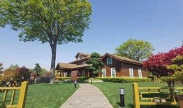 广西水电最新爆料消息查询,揭秘水电项目进展与挑战