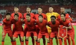 国家队队员爆料新闻,赛场背后的故事与心路历程