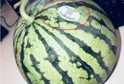 热门网红吃瓜,娱乐圈幕后真相曝光
