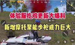 吃鸡二周年爆料图片最新,回顾辉煌历程，展望未来辉煌