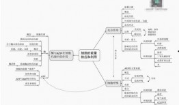普尔爆料三巨头视频大全,三巨头视频大全背后的惊人真相