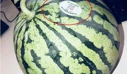 网红无偿吃瓜是真的吗,是馅饼还是陷阱？