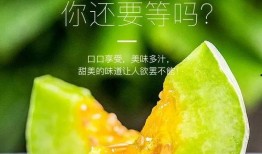 网红吃瓜照片全集
