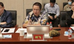 叶飞爆料视频完整版,揭秘娱乐圈内幕与利益纠葛