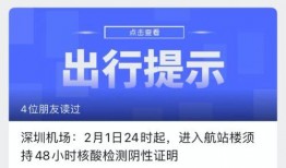 深圳小宋最新爆料消息今天,今日热点事件深度解析