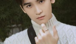 爆料黄俊捷视频声音