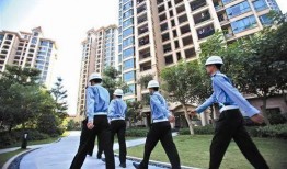 大连物业最新爆料,揭秘小区管理背后的真相