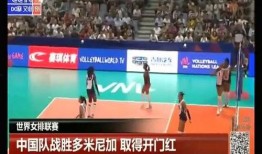 中国队新闻爆料,新闻爆料揭示辉煌瞬间
